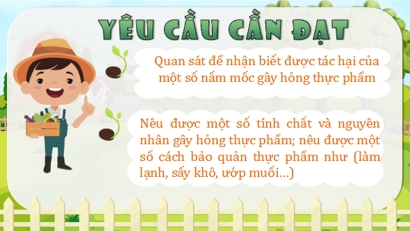 Giáo án điện tử Khoa học lớp 4 Kết nối tri thức Bài 21: Nấm gây hỏng thực phẩm và nấm độc | PPT Khoa học 4