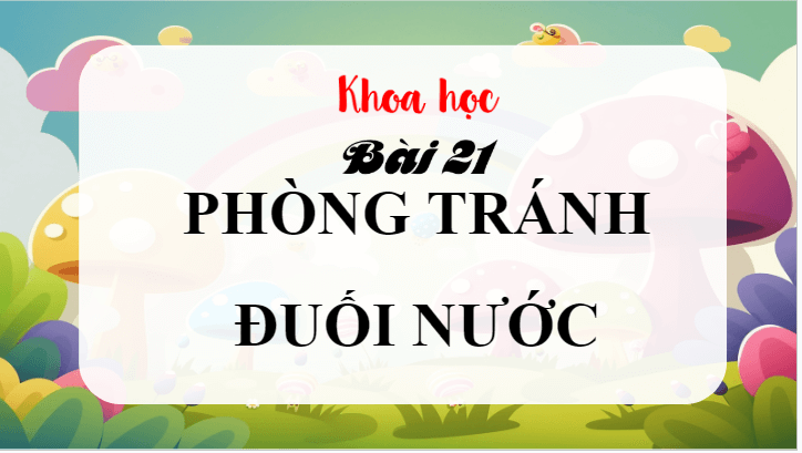 Giáo án điện tử Khoa học lớp 4 Cánh diều Bài 21: Phòng tránh đuối nước | PPT Khoa học 4