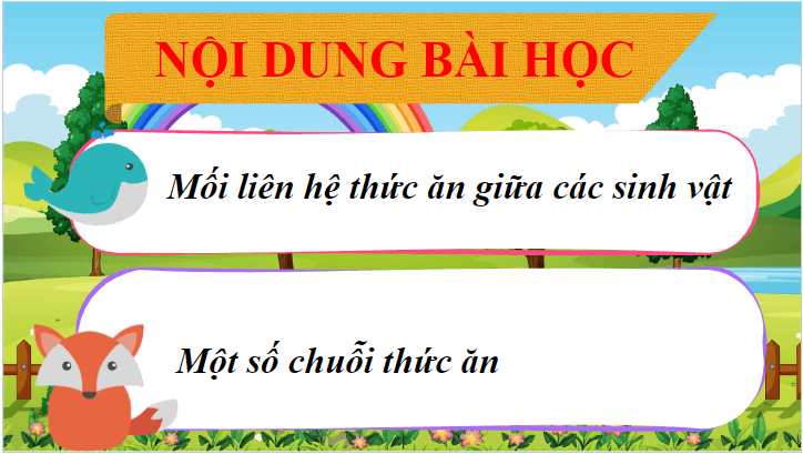 Giáo án điện tử Khoa học lớp 4 Cánh diều Bài 22: Chuỗi thức ăn | PPT Khoa học 4
