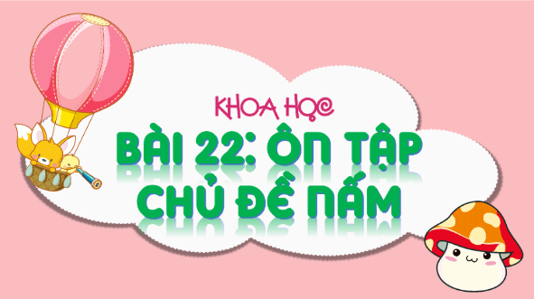 Giáo án điện tử Khoa học lớp 4 Kết nối tri thức Bài 22: Ôn tập chủ đề nấm | PPT Khoa học 4