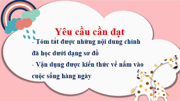 Giáo án điện tử Khoa học lớp 4 Kết nối tri thức Bài 22: Ôn tập chủ đề nấm | PPT Khoa học 4