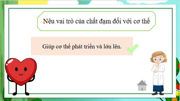 Giáo án điện tử Khoa học lớp 4 Kết nối tri thức Bài 24: Chế độ ăn uống cân bằng | PPT Khoa học 4