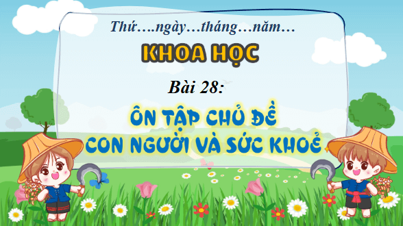 Giáo án điện tử Khoa học lớp 4 Kết nối tri thức Bài 28: Ôn tập chủ đề con người và sức khỏe | PPT Khoa học 4