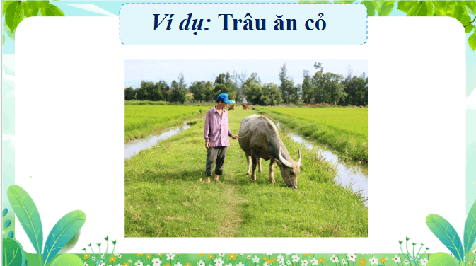 Giáo án điện tử Khoa học lớp 4 Chân trời sáng tạo Bài 30: Chuỗi thức ăn trong tự nhiên | PPT Khoa học 4