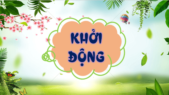 Giáo án điện tử Khoa học lớp 4 Kết nối tri thức Bài 30: Vai trò của thực vật trong chuỗi thức ăn | PPT Khoa học 4