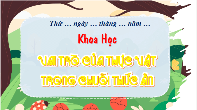 Giáo án điện tử Khoa học lớp 4 Chân trời sáng tạo Bài 31: Vai trò của thực vật trong chuỗi thức ăn | PPT Khoa học 4