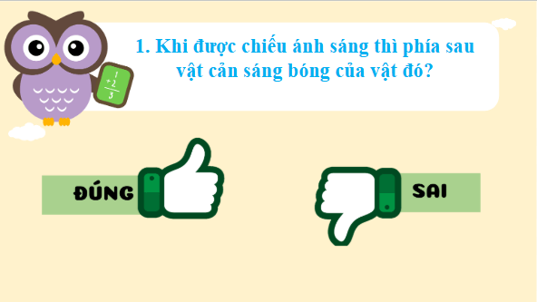 Giáo án điện tử Khoa học lớp 4 Kết nối tri thức Bài 9: Vai trò của ánh sáng | PPT Khoa học 4
