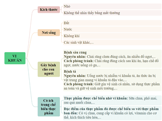 Giáo án Khoa học lớp 5 Cánh diều Ôn tập chủ đề Vi khuẩn