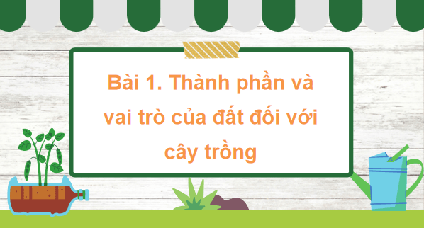 Giáo án điện tử Khoa học lớp 5 Kết nối tri thức Bài 1: Thành phần và vai trò của đất đối với cây trồng | PPT Khoa học 5