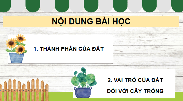 Giáo án điện tử Khoa học lớp 5 Kết nối tri thức Bài 1: Thành phần và vai trò của đất đối với cây trồng | PPT Khoa học 5