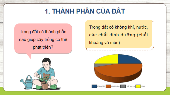Giáo án điện tử Khoa học lớp 5 Kết nối tri thức Bài 1: Thành phần và vai trò của đất đối với cây trồng | PPT Khoa học 5