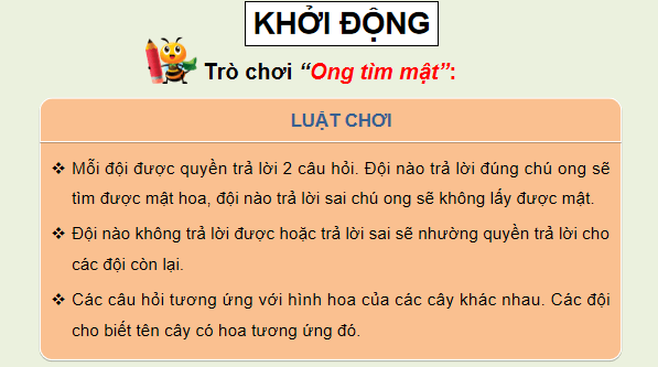 Giáo án điện tử Khoa học lớp 5 Kết nối tri thức Bài 13: Sinh sản của thực vật có hoa | PPT Khoa học 5