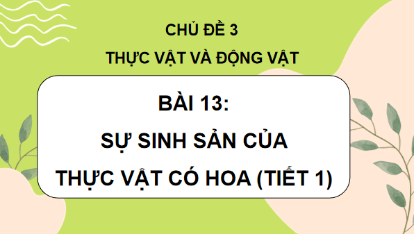 Giáo án điện tử Khoa học lớp 5 Kết nối tri thức Bài 13: Sinh sản của thực vật có hoa | PPT Khoa học 5