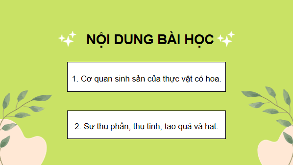 Giáo án điện tử Khoa học lớp 5 Kết nối tri thức Bài 13: Sinh sản của thực vật có hoa | PPT Khoa học 5