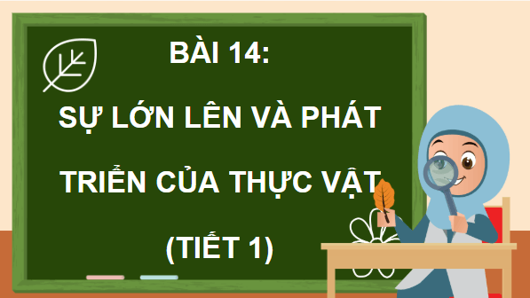 Giáo án điện tử Khoa học lớp 5 Chân trời sáng tạo Bài 14: Sự lớn lên và phát triển của thực vật | PPT Khoa học 5