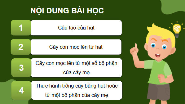 Giáo án điện tử Khoa học lớp 5 Chân trời sáng tạo Bài 14: Sự lớn lên và phát triển của thực vật | PPT Khoa học 5
