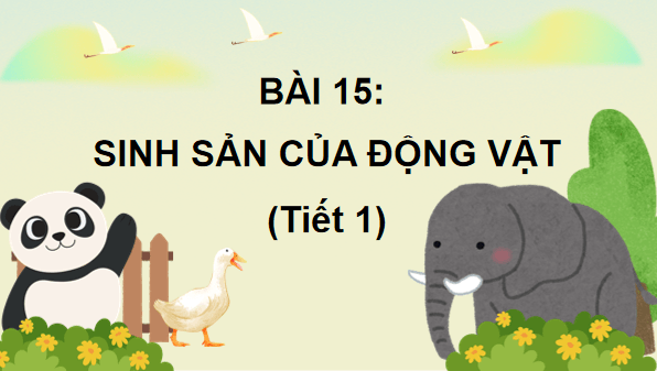 Giáo án điện tử Khoa học lớp 5 Kết nối tri thức Bài 15: Sinh sản của động vật | PPT Khoa học 5