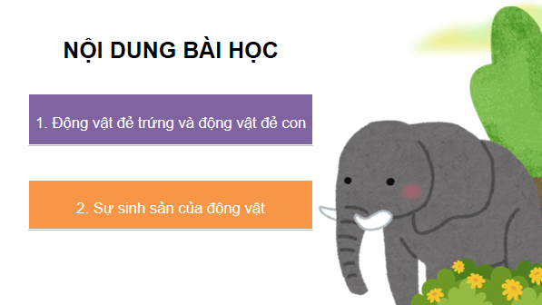 Giáo án điện tử Khoa học lớp 5 Kết nối tri thức Bài 15: Sinh sản của động vật | PPT Khoa học 5