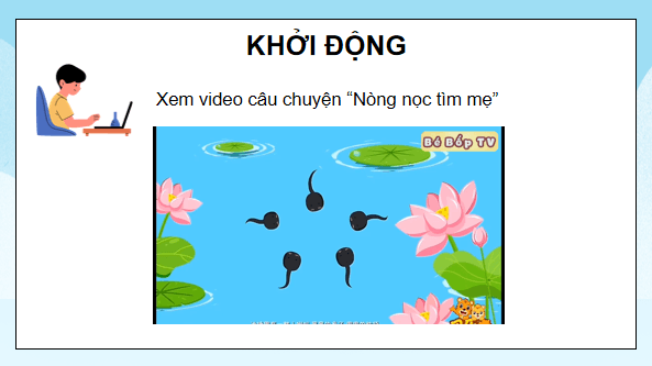 Giáo án điện tử Khoa học lớp 5 Kết nối tri thức Bài 16: Vòng đời và sự phát triển của động vật | PPT Khoa học 5
