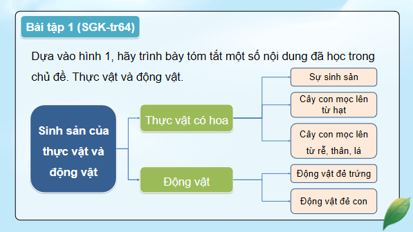 Giáo án điện tử Khoa học lớp 5 Kết nối tri thức Bài 17: Ôn tập chủ đề Thực vật và động vật | PPT Khoa học 5