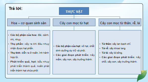 Giáo án điện tử Khoa học lớp 5 Kết nối tri thức Bài 17: Ôn tập chủ đề Thực vật và động vật | PPT Khoa học 5