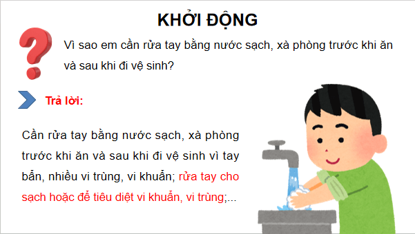 Giáo án điện tử Khoa học lớp 5 Kết nối tri thức Bài 18: Vi khuẩn xung quanh chúng ta | PPT Khoa học 5