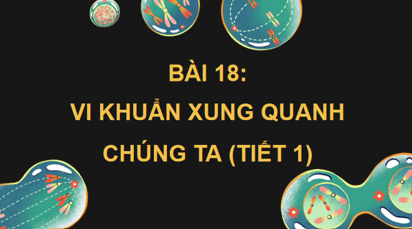 Giáo án điện tử Khoa học lớp 5 Kết nối tri thức Bài 18: Vi khuẩn xung quanh chúng ta | PPT Khoa học 5