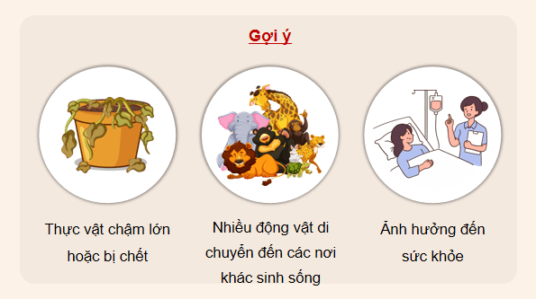 Giáo án điện tử Khoa học lớp 5 Kết nối tri thức Bài 2: Ô nhiễm, xói mòn đất và bảo vệ môi trường đất | PPT Khoa học 5