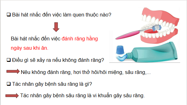 Giáo án điện tử Khoa học lớp 5 Kết nối tri thức Bài 20: Vi khuẩn gây bệnh ở người và cách phòng tránh | PPT Khoa học 5
