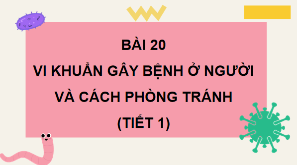 Giáo án điện tử Khoa học lớp 5 Kết nối tri thức Bài 20: Vi khuẩn gây bệnh ở người và cách phòng tránh | PPT Khoa học 5