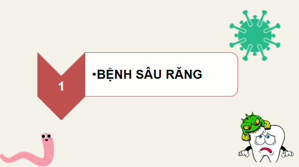 Giáo án điện tử Khoa học lớp 5 Kết nối tri thức Bài 20: Vi khuẩn gây bệnh ở người và cách phòng tránh | PPT Khoa học 5