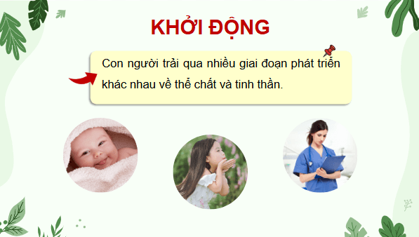 Giáo án điện tử Khoa học lớp 5 Chân trời sáng tạo Bài 24: Các giai đoạn phát triển của con người | PPT Khoa học 5