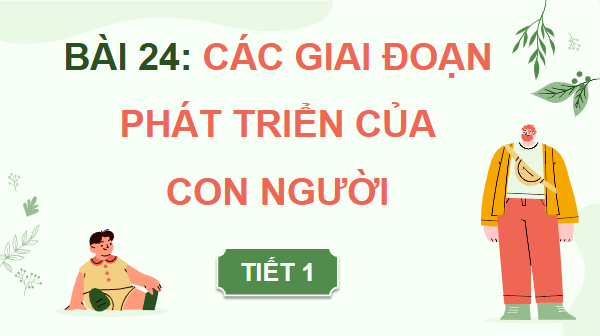 Giáo án điện tử Khoa học lớp 5 Chân trời sáng tạo Bài 24: Các giai đoạn phát triển của con người | PPT Khoa học 5