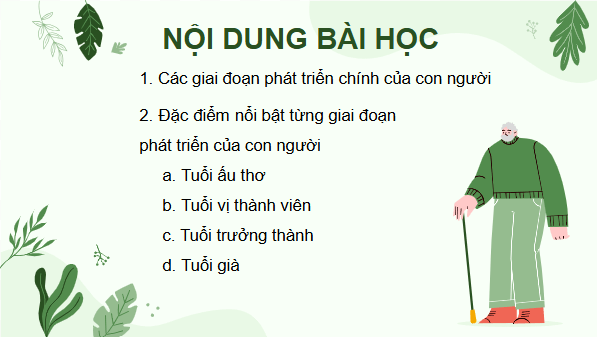 Giáo án điện tử Khoa học lớp 5 Chân trời sáng tạo Bài 24: Các giai đoạn phát triển của con người | PPT Khoa học 5