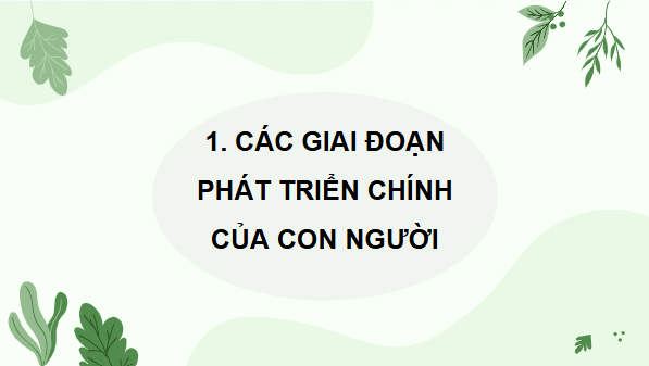 Giáo án điện tử Khoa học lớp 5 Chân trời sáng tạo Bài 24: Các giai đoạn phát triển của con người | PPT Khoa học 5