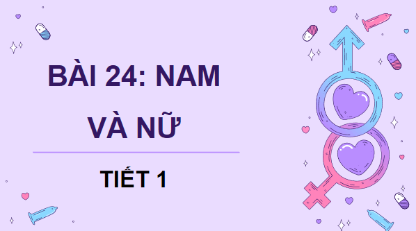 Giáo án điện tử Khoa học lớp 5 Kết nối tri thức Bài 24: Nam và nữ | PPT Khoa học 5