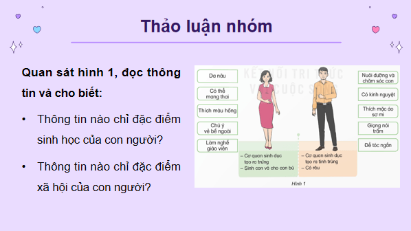 Giáo án điện tử Khoa học lớp 5 Kết nối tri thức Bài 24: Nam và nữ | PPT Khoa học 5