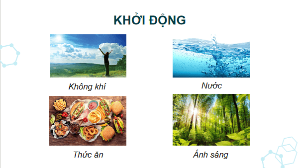 Giáo án điện tử Khoa học lớp 5 Kết nối tri thức Bài 28: Chức năng của môi trường đối với sinh vật | PPT Khoa học 5