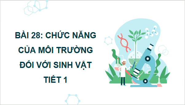 Giáo án điện tử Khoa học lớp 5 Kết nối tri thức Bài 28: Chức năng của môi trường đối với sinh vật | PPT Khoa học 5