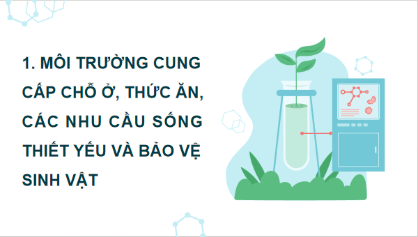 Giáo án điện tử Khoa học lớp 5 Kết nối tri thức Bài 28: Chức năng của môi trường đối với sinh vật | PPT Khoa học 5