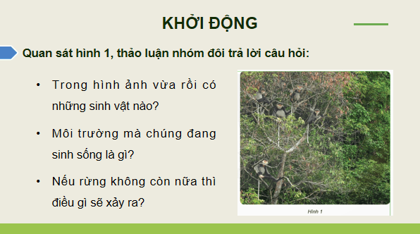 Giáo án điện tử Khoa học lớp 5 Kết nối tri thức Bài 29: Tác động của con người và một số biện pháp bảo vệ môi trường | PPT Khoa học 5