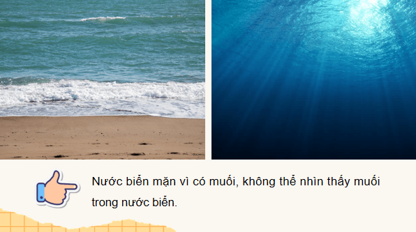 Giáo án điện tử Khoa học lớp 5 Kết nối tri thức Bài 3: Hỗn hợp và dung dịch | PPT Khoa học 5
