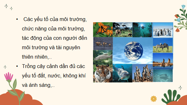 Giáo án điện tử Khoa học lớp 5 Kết nối tri thức Bài 30: Ôn tập chủ đề Sinh vật và môi trường | PPT Khoa học 5