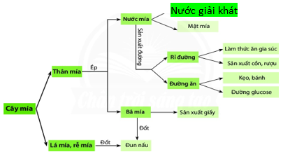 Giáo án KHTN 6 Chân trời sáng tạo Bài 13: Một số nguyên liệu | Giáo án Khoa học tự nhiên 6