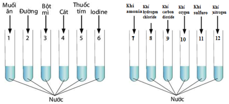 Giáo án KHTN 6 Chân trời sáng tạo Bài 15: Chất tinh khiết – Hỗn hợp | Giáo án Khoa học tự nhiên 6