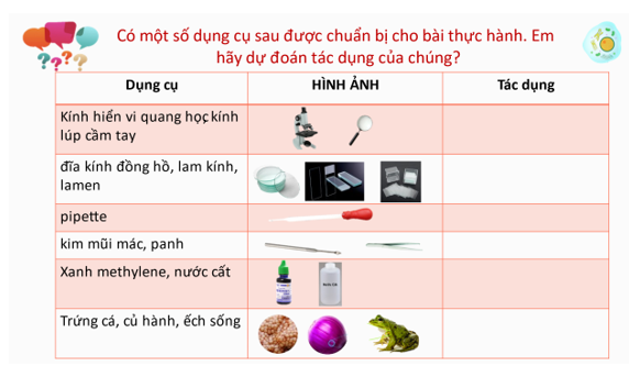 Giáo án KHTN 6 Chân trời sáng tạo Bài 18: Thực hành quan sát tế bào sinh vật | Giáo án Khoa học tự nhiên 6