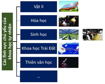 Giáo án KHTN 6 Chân trời sáng tạo Bài 2: Các lĩnh vực chủ yếu của khoa học tự nhiên | Giáo án Khoa học tự nhiên 6