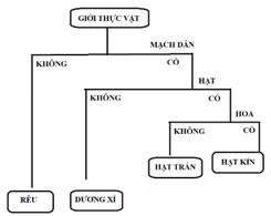 Giáo án KHTN 6 Chân trời sáng tạo Bài 30: Thực hành phân loại thực vật | Giáo án Khoa học tự nhiên 6