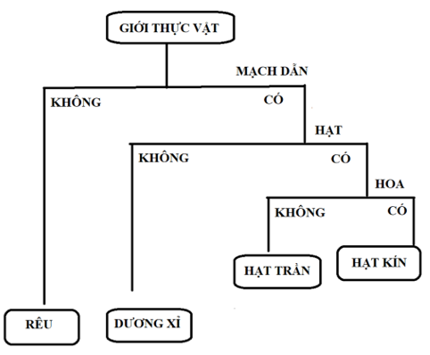 Giáo án KHTN 6 Chân trời sáng tạo Bài 30: Thực hành phân loại thực vật | Giáo án Khoa học tự nhiên 6