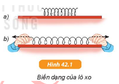 Giáo án KHTN 6 Kết nối tri thức Bài 42: Biến dạng của lò xo | Giáo án Khoa học tự nhiên 6